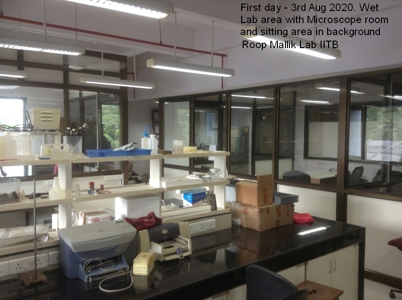 IITLab3Aug20201 ROOP MALLIK LAB, BSBEIITB