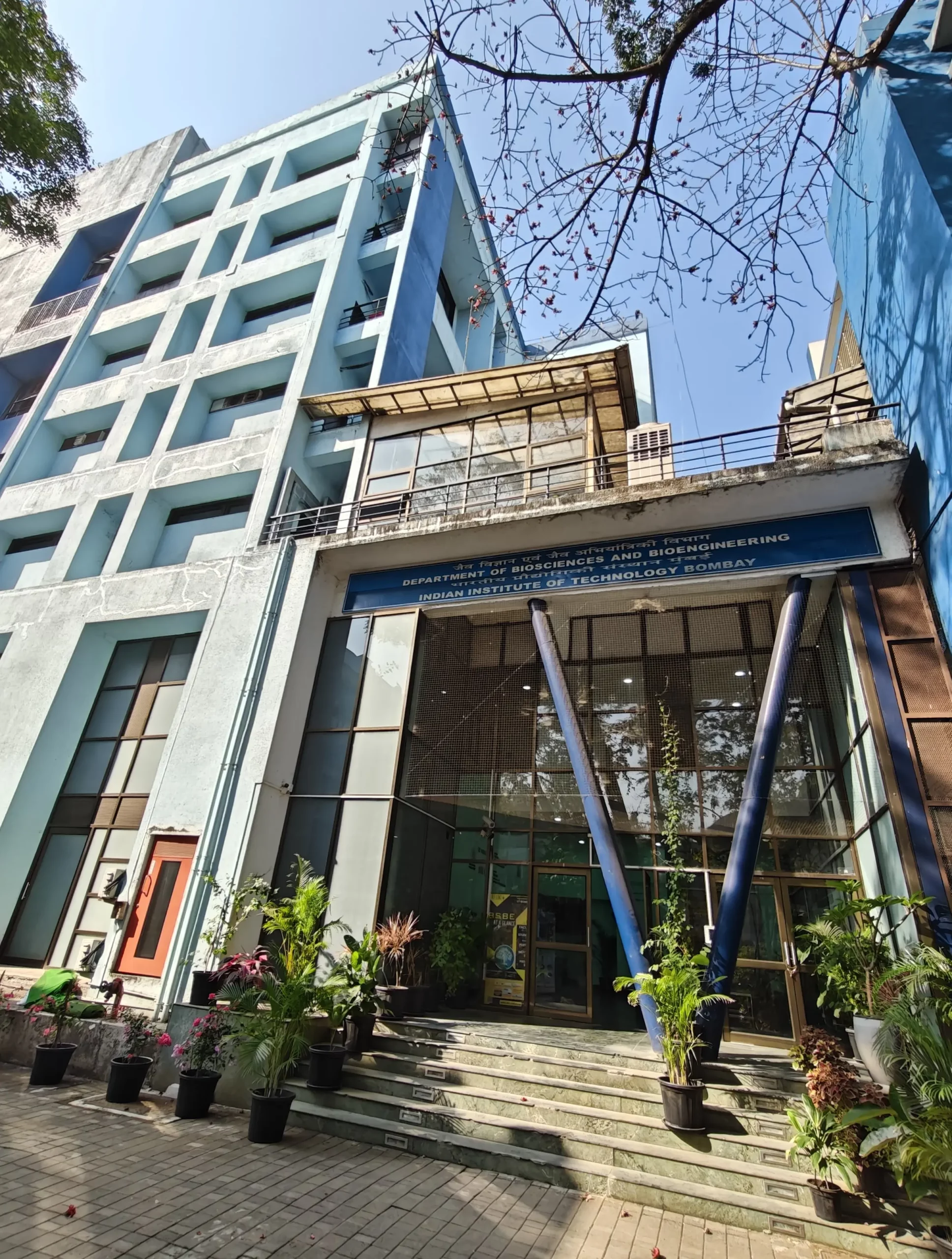 BSBE building today