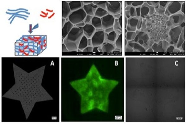 biomaterials