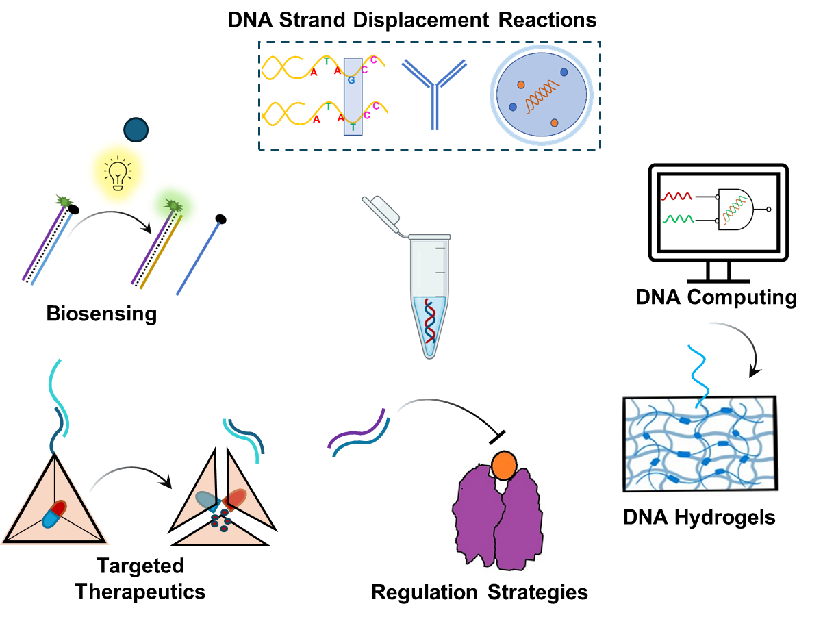 Protein–oligonucleotide signal exchange
