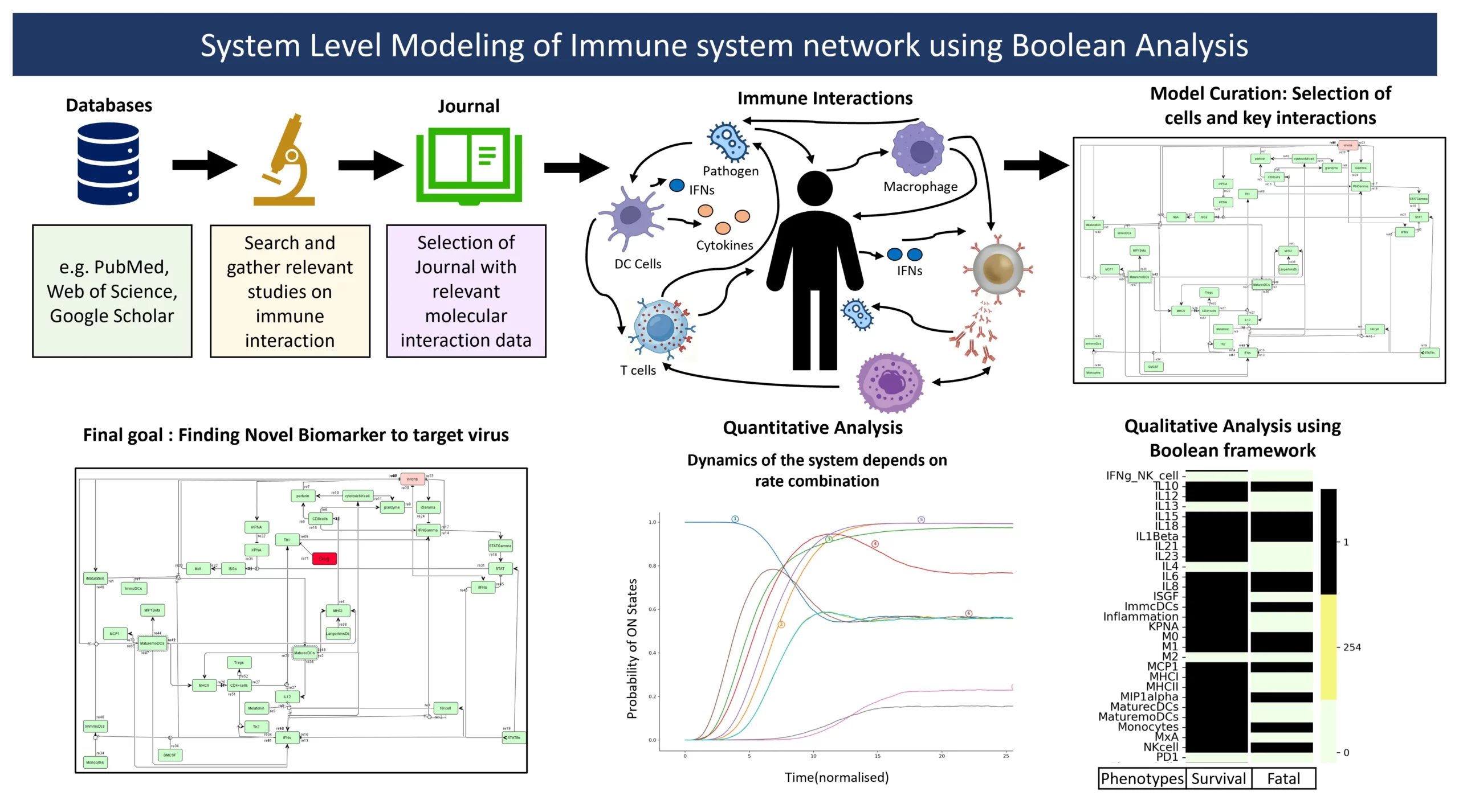 Host response to infection