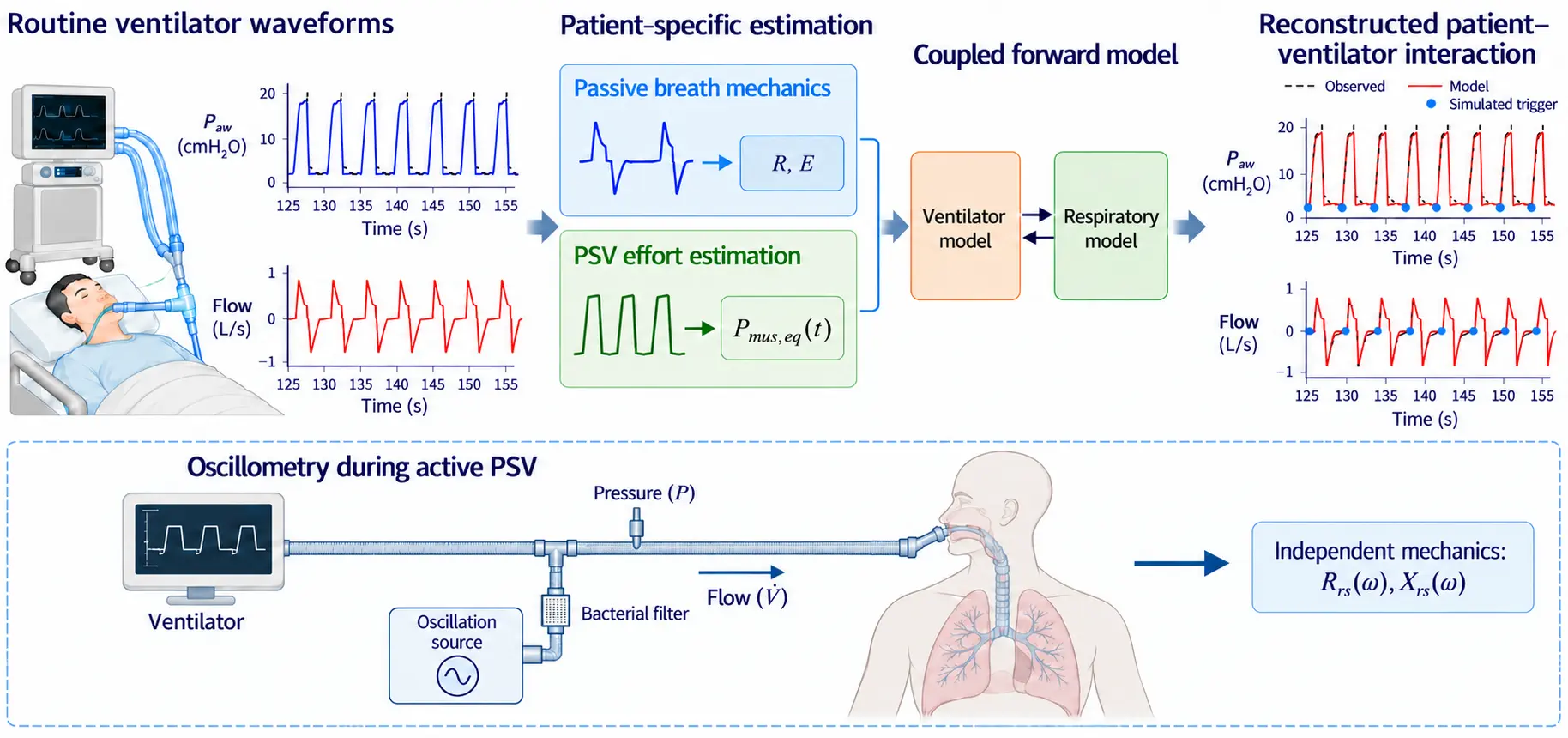 Probing lung mechanics during mechanical ventilation