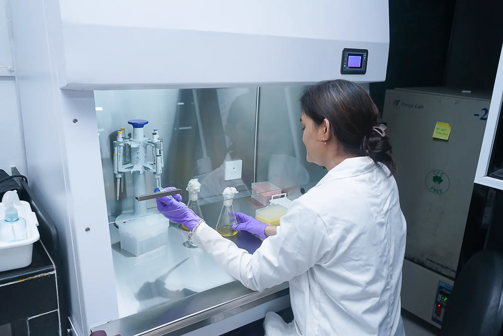 CMT Lab activities