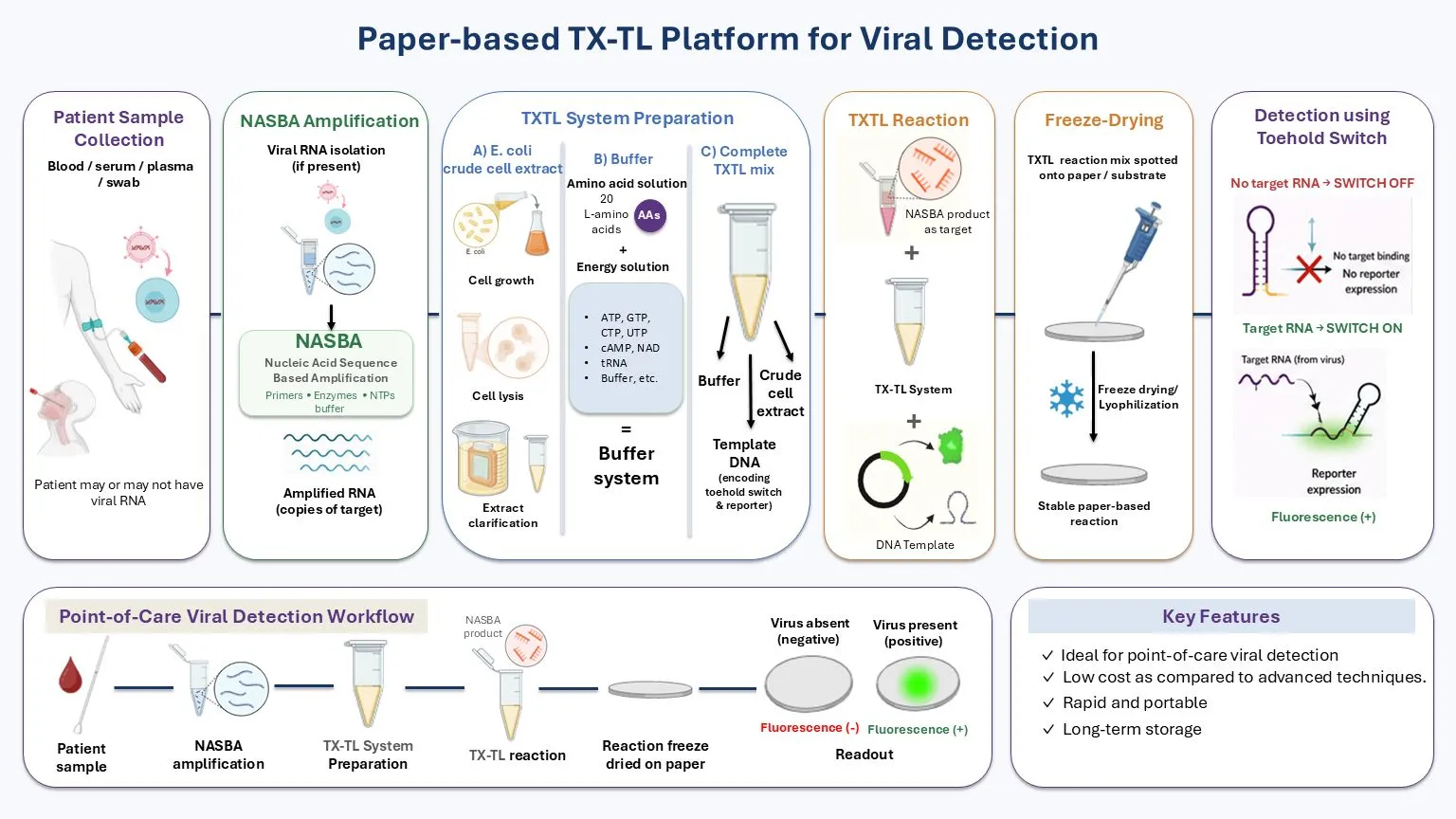 Cell-free TXTL-based platform for early detection of infection