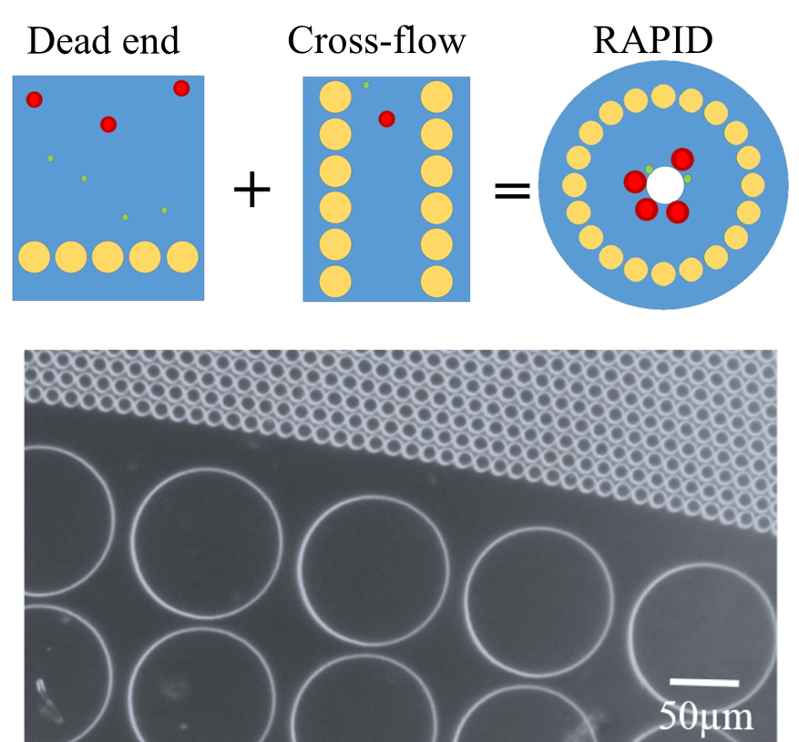 Cell Sorting