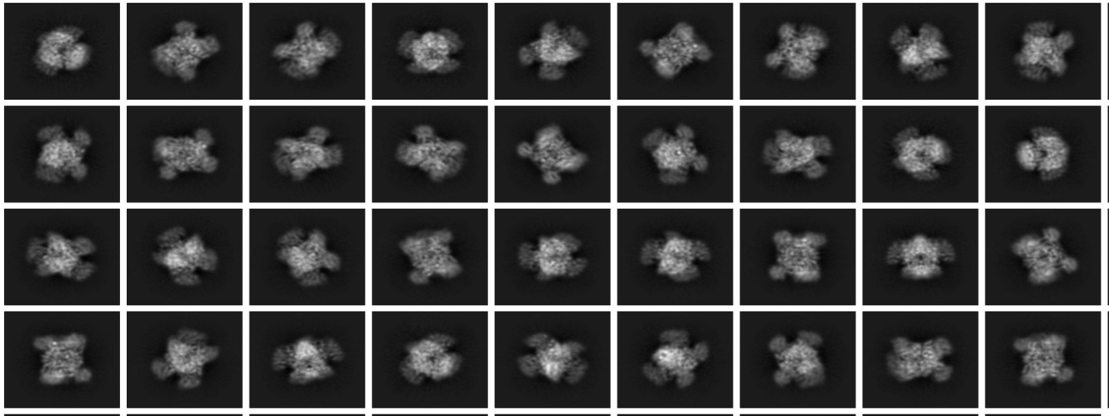 Cryo-EM 2D-Classification